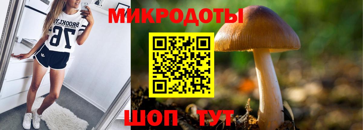 Псилоцибиновые грибы Cubensis  Вход с VPN  Каспийск 
